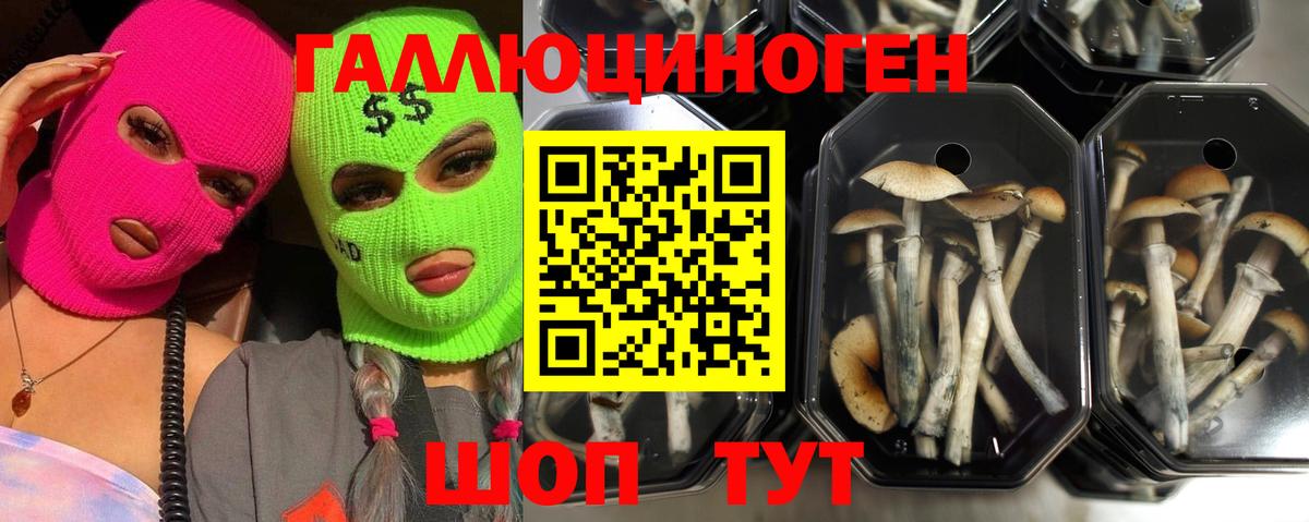 Галлюциногенные грибы Magic Shrooms  Вход с VPN  Междуреченск 