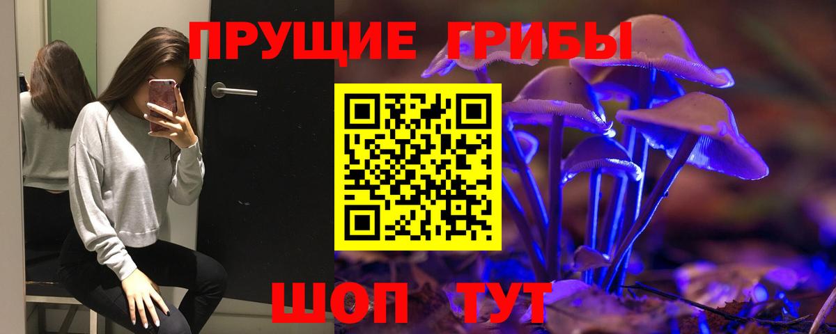 Галлюциногенные грибы мухоморы Междуреченск